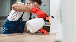 Emergency Pest Control Services in Effingham, IL